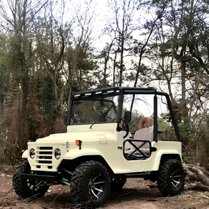 Mini Buggy de 300cc de Buena Calidad, Quad Deportivo, UTV Automático, ATV de Carreras, Mini Jeep Willys de Gasolina - Product Image 1