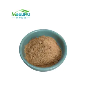 Low Price Ginkgo Biloba Leaf Extract Powder CAS 90045-36-6