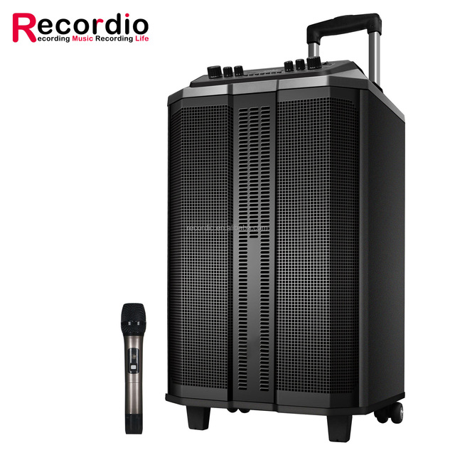 GAT-KD801A Two-way Outdoor Mobile Speaker with Wireless Microphone for Outdoor, Wedding, Party