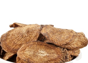 Trà Cắt Rễ Cây Ngưu Bàng Thái Lát Lớn Bán Sỉ Cho Sức Khỏe Khô - Product Image 2