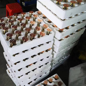 หัวฉีดน้ำดับเพลิงแบบพ่นหมอก โฟม และฝน สำหรับดับเพลิงแบบแห้ง - Product Image 5