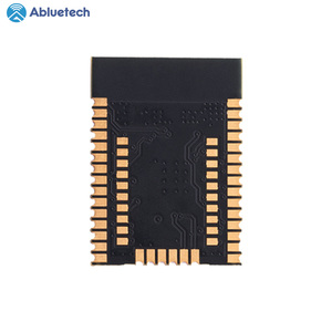 NRF52833 Bluetooth 5.1 Module For Access Control Wireless Bluetooth Module With IPX Antenna