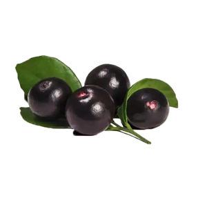 Preço de Atacado de Açaí Congelado do Brasil, Pó de Açaí Congelado, Pó de Suco de Açaí Congelado - Product Image 2