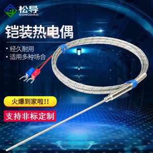 Sensor de temperatura tipo K con termopar blindado WRNK-191, sonda de alta temperatura, sensor de temperatura Pt100/J/E - Product Image 2