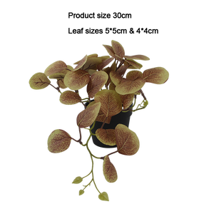 <span class=keywords><strong>Sen</strong></span> Masine realista 30cm pequeña vegetación Artificial hojas falsas <span class=keywords><strong>planta</strong></span> de dinero de imitación para el hogar Mesa de Oficina Decoración colgante interior - Product Image 4