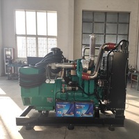 Genset Gas Alam 250kVA 200kW Excitation Brushless AC Tiga Fasa Output, Genset Biogas