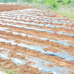 Tarım bitkileri siyah malç filmi koruma kapağı sera sebze plastik ot kontrol eden Mat PE malç filmi