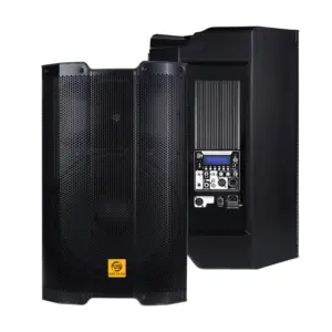 China's 15-year PXH15-HM300A Speakers Power Amplifier Bluetooth Speaker Professional Audio