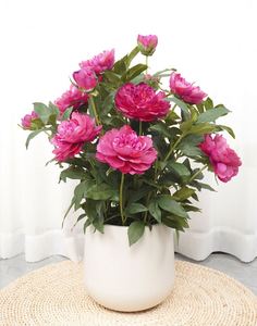 Flores de Peonía en Maceta Más Vendidas de Oh Arts, Planta Artificial de Peonía Verde en Maceta de Plástico para Decoración de Interiores - Product Image 4