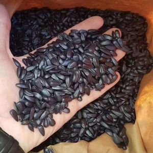 น้ำมันดอกทานตะวันแห้งในกล่องขนาดใหญ่1กล่องน้ำหนัก50ปอนด์บรรจุในถุง - Product Image 4