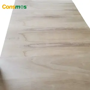 9mm Bending Plywood 3mm 9mm 12mm Thickness Popalr Core Curved Bending Plywood