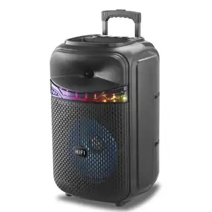 Lauflicht 12 Zoll Lautsprecher box Wagen Outdoor Kunststoff Lautsprecher Sound Party Box mit drahtlosem Mikrofon