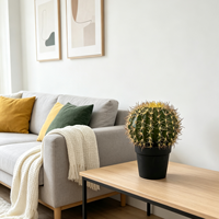 Nouveauté Décoration d'intérieur Pot en plastique Plante artificielle Succulente Cactus tropical Résistant aux UV Écologique Durable Vente en gros