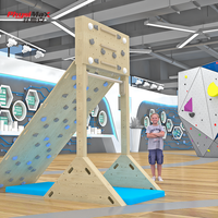 Muro de Escalada para Rehabilitación en Interiores, para Espacios Pequeños, Ángulo Ajustable, Duradero, Expandible, Bajo Costo, para Hogar y Hospital