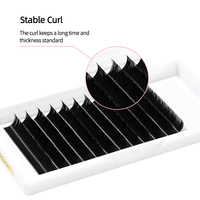 Extensions de cils naturels volumineux faits à la main, sans cruauté, noirs naturels, courbures C, D, .10, .15, .20, longueur 8-18mm