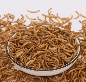 תולעים יבשים בתפזורת של ספקים סינים מיובשים הסיטונאי - Product Image 6