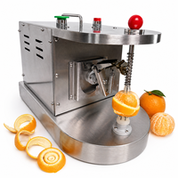 Groothandelsprijs Multifunctionele RVS Desktop Commerciële Citroen Appel Schilmes Oranje Citrus Mango Fruit Schilmachine