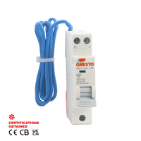 Disjoncteur unipolaire neutre 240V AC Type RCBO pour la Protection du système électrique 6A 10A 16A 20A 25A 32A 40A RCBO