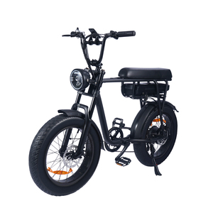 1000 Watts 350W 250W E-Bikes 48V 17.5Ah 15.6Ah 20 Inch Fatbike 20" <b>X</b> 4" Fat Tire for Adults - Product Image 4