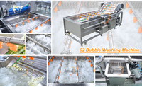 150kg/uur Fruit Salade Verwerkingsmachine Salade Was- en Snijmachine Salade Transportband Salade Waslijn