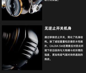 22 100% Original DAIW <span class=keywords><strong>CALDIA</strong></span> SW 6 + 1BB bobine moulinet résistant à l'eau salée - Product Image 6