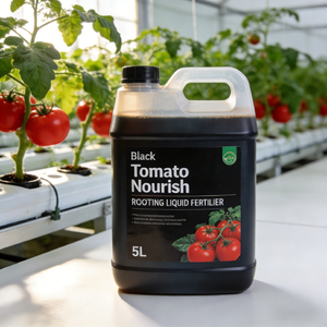 <span class=keywords><strong>Engrais</strong></span> liquide spécial pour l'enracinement des tomates - Stimule le développement des racines et améliore le taux de survie des semis - Product Image 2