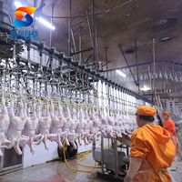 Équipement d'abattage automatique de volailles ZB, équipement d'abattage de moutons