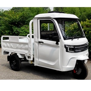 Tricycle électrique à trois roues pour l'exportation transfrontalière, homologué EEC COC, 2000W 3000W, avec système hydraulique entièrement automatique - Product Image 2