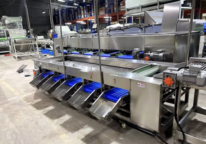 Máquina Clasificadora Automática Comercial de Frutas y Verduras para Aguacate, Tomate, Manzana, Mango, Melón, Patata - Product Image 4