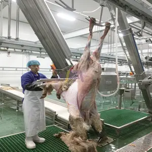 ハラール家畜ヤギ食肉処理場子羊食肉処理場食肉処理装置用羊皮むき機