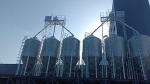 Les bacs de stockage de plaque de silo <span class=keywords><strong>en</strong></span> acier de petits silos stockant l'alimentation sont les bacs de stockage durables et pratiques d'alimentation pour la ferme - Product Image 6