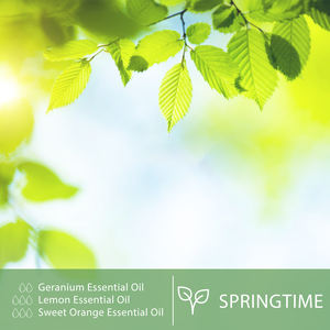 <span class=keywords><strong>Olio</strong></span> <span class=keywords><strong>essenziale</strong></span> di <span class=keywords><strong>geranio</strong></span> da 100ML all'ingrosso <span class=keywords><strong>olio</strong></span> <span class=keywords><strong>essenziale</strong></span> vegetale puro al 100% per diffusore di aromi Calm - Product Image 4