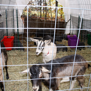 Lưới Thép Không Gỉ, Lưới Hàn Dây Vải-Dễ Cắt Và Chắc Chắn-Lưới Màn Hình Kim Loại - Product Image 5