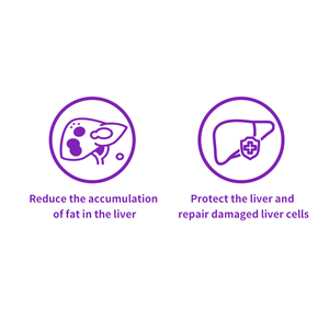 Silibinin, Soporte Hepático <span class=keywords><strong>para</strong></span> <span class=keywords><strong>Perros</strong></span> y Gatos, Apoya el Flujo Biliar Saludable y la Función Hepática, Tabletas de Suplemento <span class=keywords><strong>para</strong></span> el Cuidado del Hígado - Product Image 2