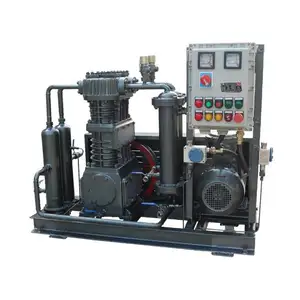 AC Power Hogedruk Pcp Methaan Chloormethaan Compressor Olievrije Industriële Compressor Voor Chemische Fabriek