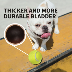 All For Paws, juguete personalizado para perros, Mini pelota de tenis para perros, lanzador automático de pelotas, pelotas de repuesto para perros, <span class=keywords><strong>mascotas</strong></span>, lanzamiento de masticación - Product Image 5