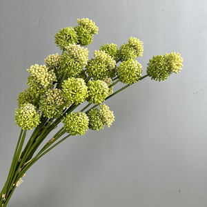 Y-H204 Meilleures ventes : Branches <span class=keywords><strong>de</strong></span> sérum artificielles en plastique, plantes succulentes, boules <span class=keywords><strong>de</strong></span> sérum pour la décoration <span class=keywords><strong>de</strong></span> tables d'événements et <span class=keywords><strong>de</strong></span> mariages - Product Image 6