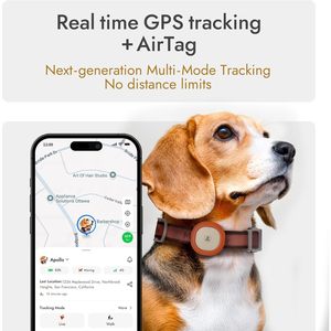 Rastreador GPS para Mascotas Molly Cody 4G Bluetooth Impermeable para Perros y Gatos, Rastreo en Tiempo Real, Aplicación iOS, Monitoreo de Mascotas - Product Image 3