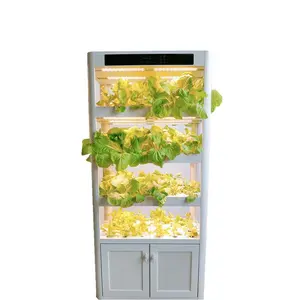 Planteur de légumes d'intérieur, système hydroponique Vertical