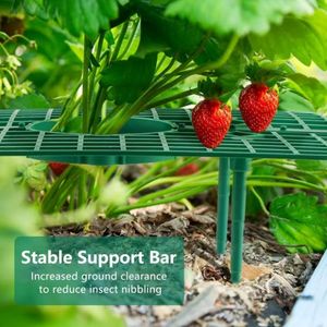 Meilleure vente supports d'escalade pour plantes vertes supports en plastique anti-pourriture pour fraises supports de plantation pour balcon - Product Image 3