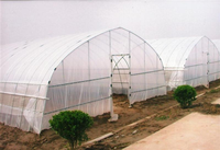 Serre agricole à haut tunnel de grande taille pour la culture de tomates