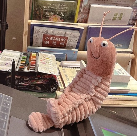 Crevette mante-22 cm