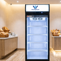 Réfrigérateur professionnel vertical à porte vitrée avec évaporateur en cuivre pur, sans givre, pour supermarché et commerce de détail
