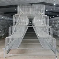 Cage à poulets de type A/H en acier galvanisé pour l'Afrique, équipement agricole automatique pour poules pondeuses, vente chaude