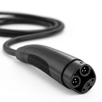 Câble de recharge pour véhicules électriques NACS pour Tesla, compatible avec la norme GBT AC, adapté aux voitures électriques courantes, sûr, durable et pratique pour les familles