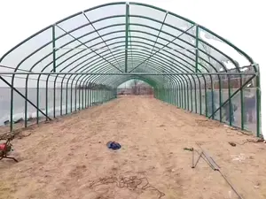 Best Galvanized Iron Pipes Prices Hot Galvanized Steel Pipe Greenhouse Frame Structure For Sale