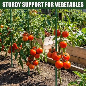 Support de <span class=keywords><strong>treillis</strong></span> d'extérieur pour vigne, fleurs, tomates, haricots, melons, avec revêtement plastique - Product Image 5