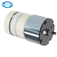 Personnalisable 3L Mini pompe à diaphragme électrique OEM Compresseur d'air pour appareils de beauté