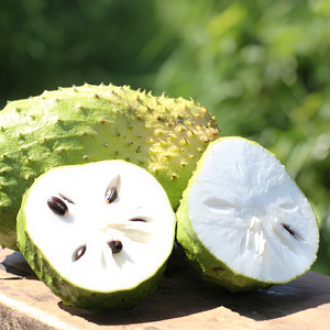 Fournisseur en gros de pulpe de corossol congelée du Vietnam (Guanabana, Graviola) IQF // Mme Reina - Product Image 1