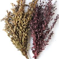 100g naturel séché éternel feuilles d'eucalyptus séchées bouquet mince véritable vert eucalyptus feuille fine fleuriste bouquet douche